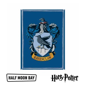 Metal sign Harry Potter Ravenclaw SSA5HP40